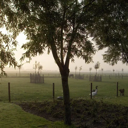 Knotwilgenhoeve فندق مبيت وإفطار كنوك هايست