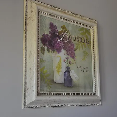 Knotwilgenhoeve فندق مبيت وإفطار كنوك هايست